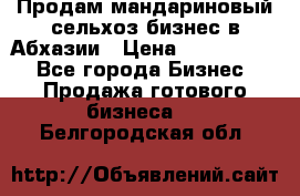 Продам мандариновый сельхоз-бизнес в Абхазии › Цена ­ 1 000 000 - Все города Бизнес » Продажа готового бизнеса   . Белгородская обл.